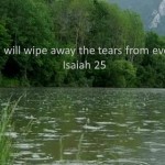 tears_b_w496_279