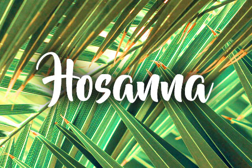 Hosanna - Palm Sunday