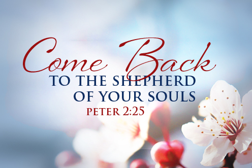 Come back to the Shepherd of your Souls
